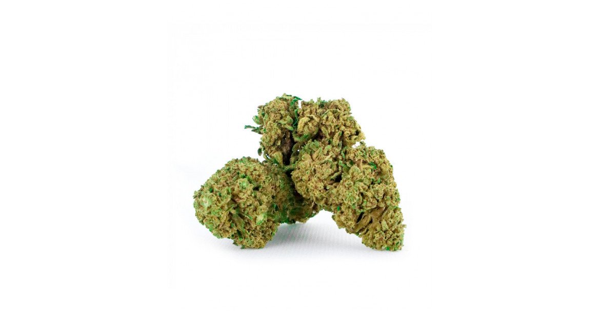 Amnesia Sativa : Une fleur de cannabis d’exception
