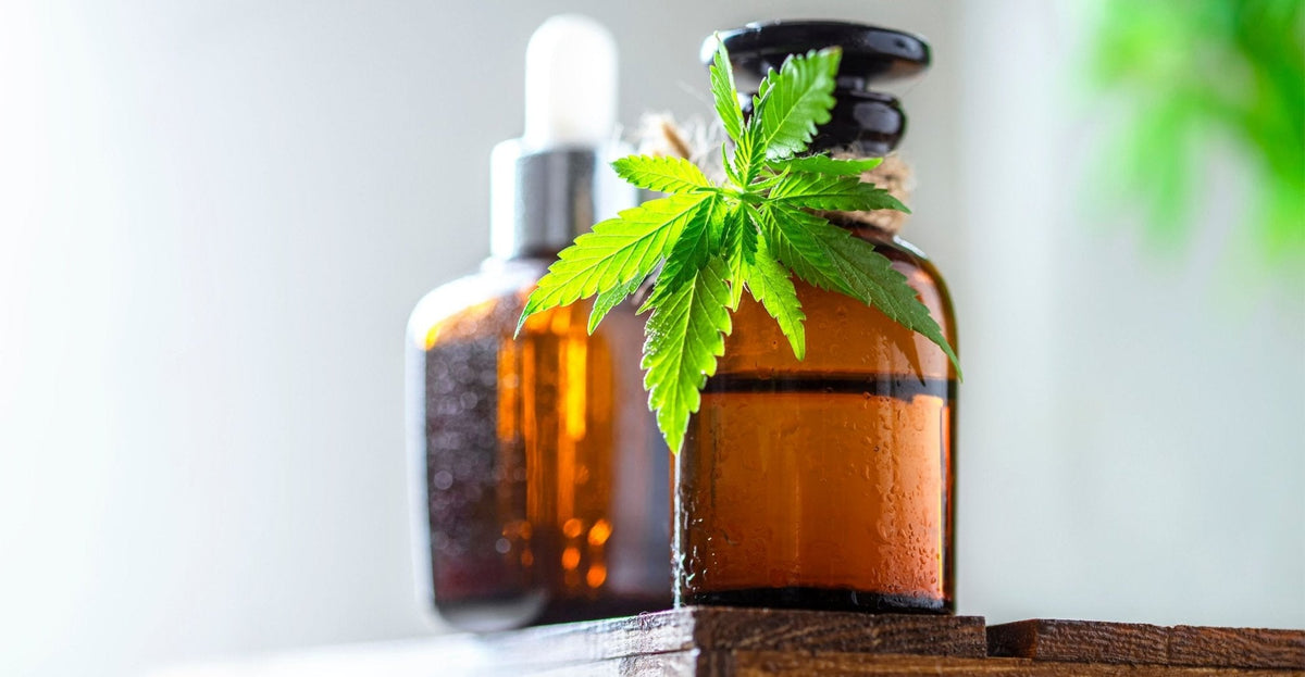 CBD & maladie de Parkinson : le Cannabidiol pourrait soulager les symptômes liés à la maladie.