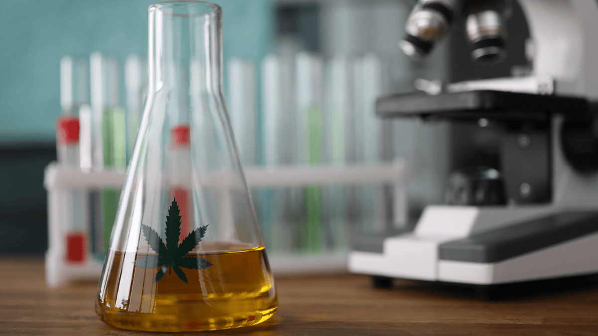 CBG, CBD et CBN : guide complet