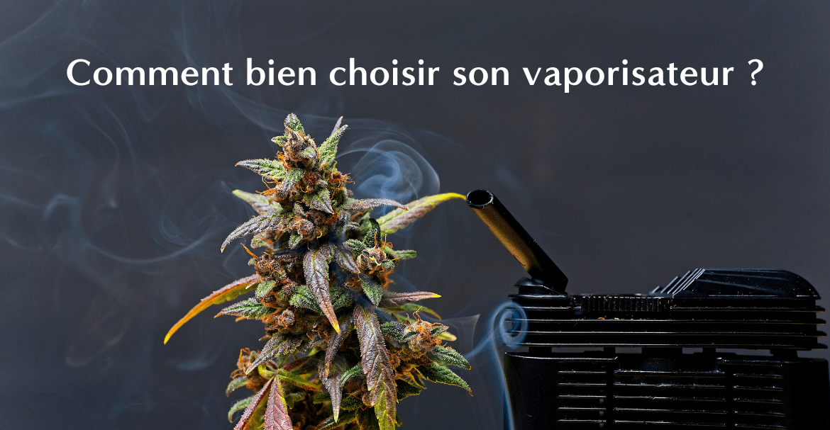 Comment bien choisir son vaporisateur ?