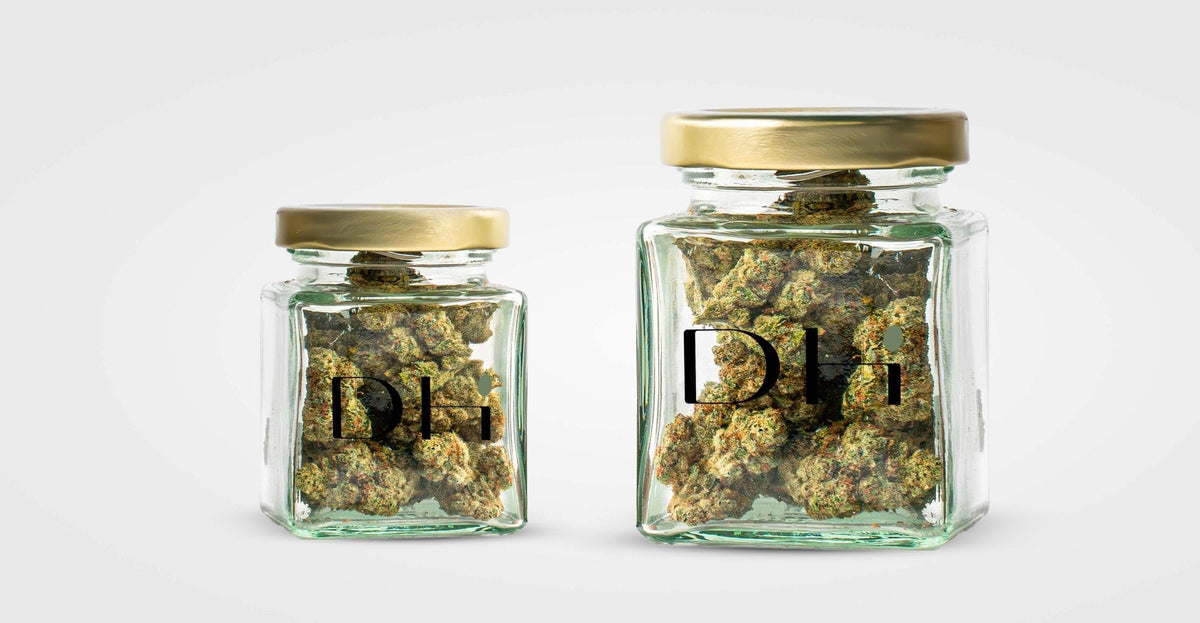 Comment bien conserver ses fleurs et résines CBD ?