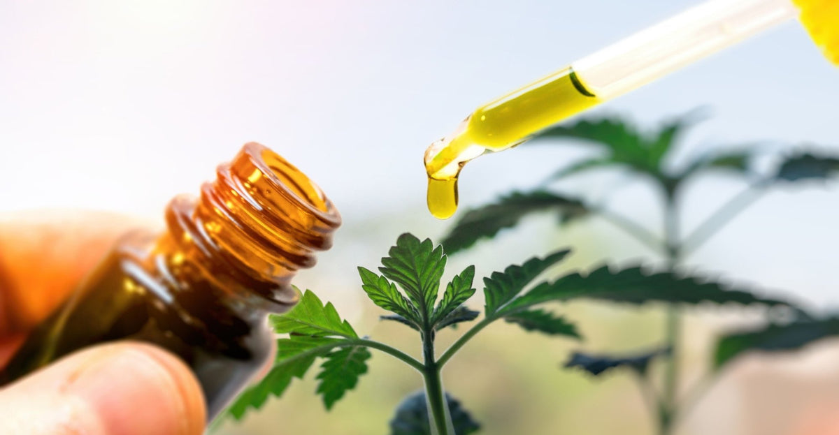 Cómo usar correctamente el CBD: entender las indicaciones en % y las cantidades en mg.