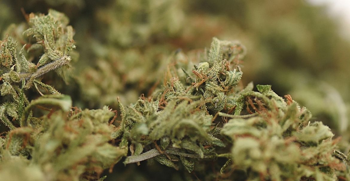 Comment le CBD vous aide à diminuer votre consommation de tabac
