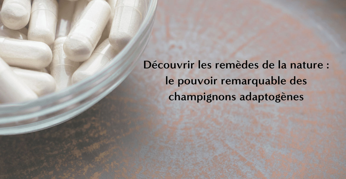 Découvrir les remèdes de la nature : le pouvoir remarquable des champignons adaptogènes