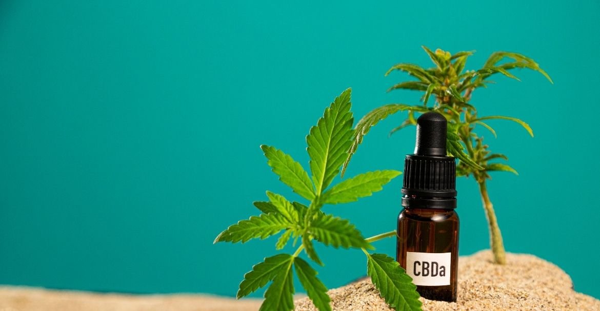 Deli Hemp répond à vos questions les plus fréquentes