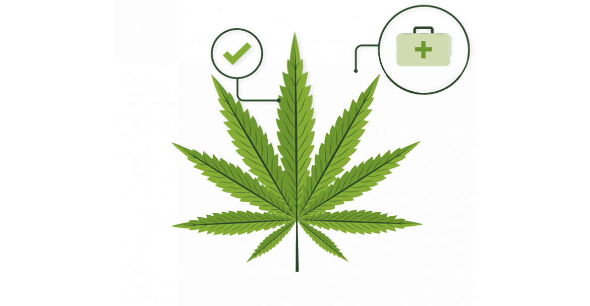 Différence entre CBD et cannabis : Tout comprendre