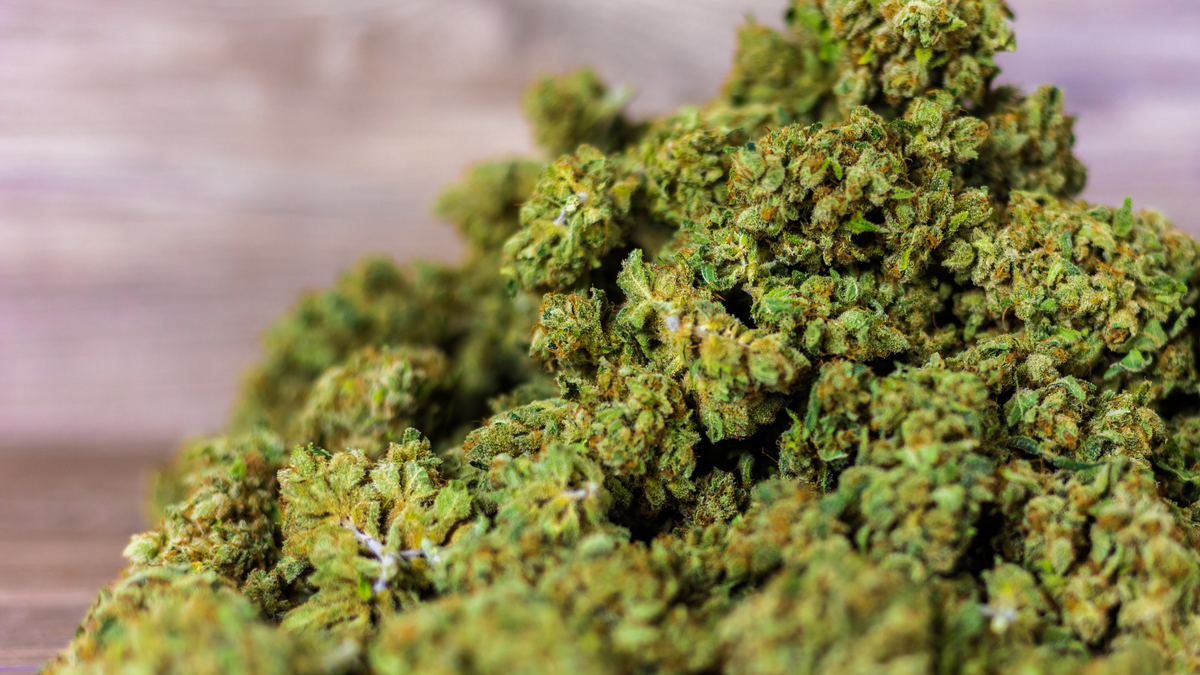 Fleur, pin, terre : quelles sont les bonnes odeurs du CBD ?