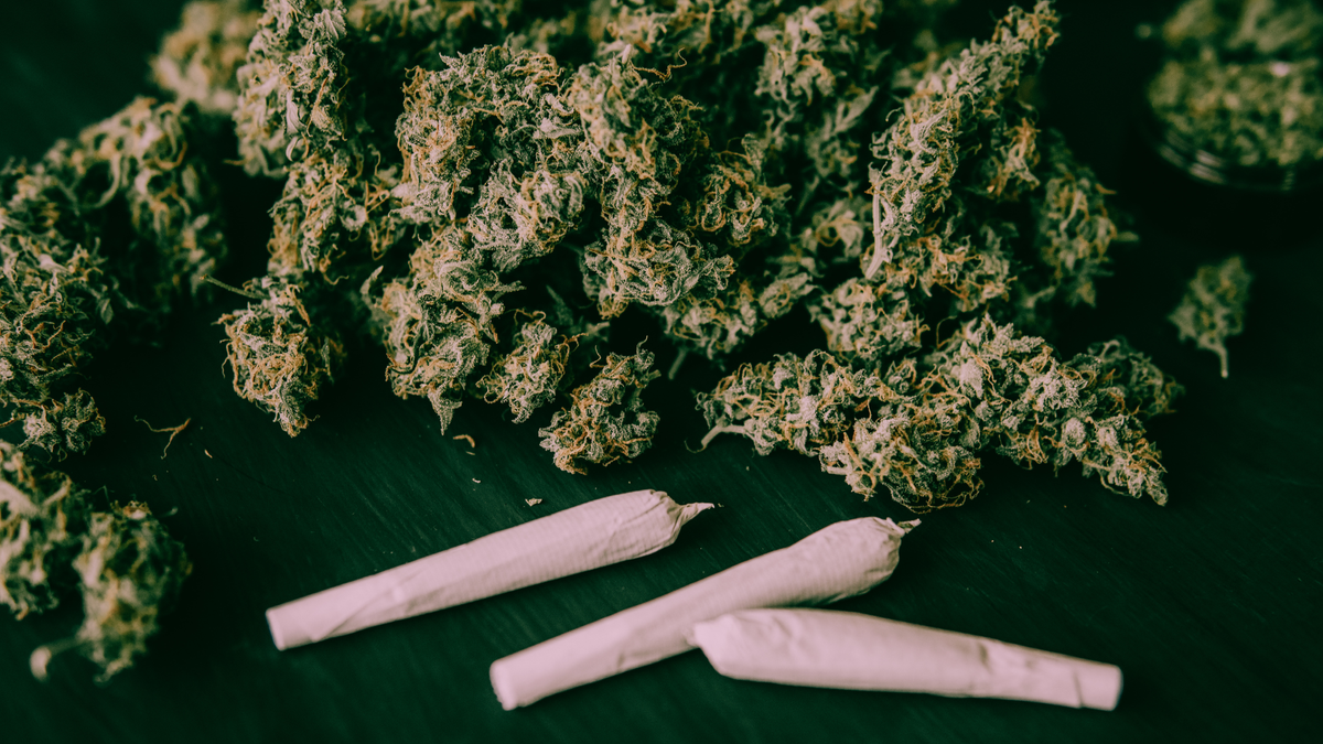 Fleurs CBD Deli Hemp : Guide complet pour choisir des variétés premium