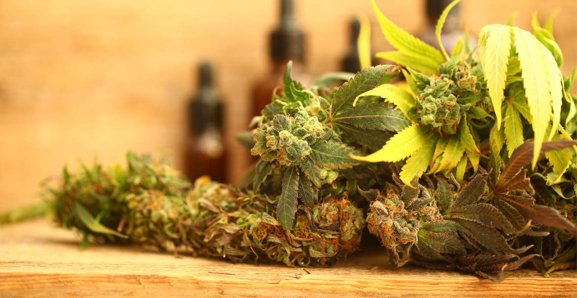 Fleurs CBD premium pas cher : comment bien les choisir en ligne ?