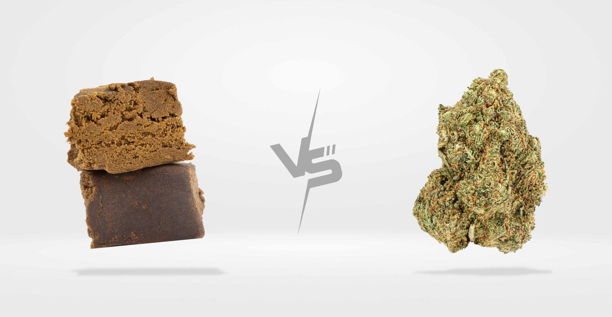 Fleurs CBD vs Résines CBD : comment bien choisir ?