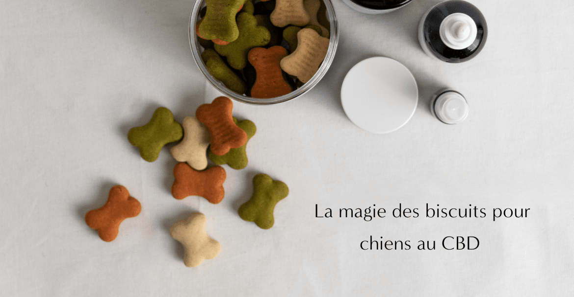 Gélules CBD/Mélatonine Deli Hemp, votre nouvel allié anti-anxiété et anti-insomnies !