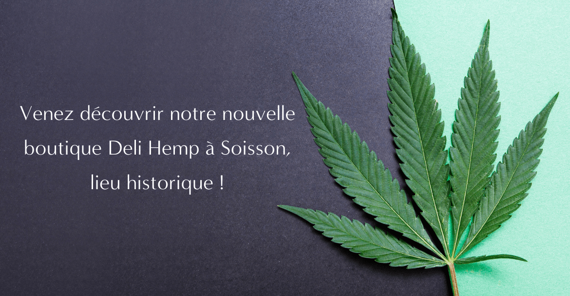 Gélules CBD ou Huiles CBD que choisir ?