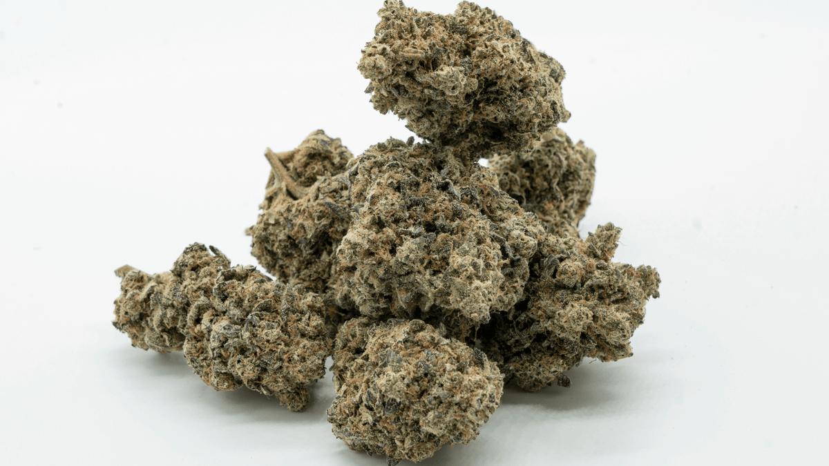 Indica, Sativa ou Hybride : quelles différences entre ces variétés de cannabis CBD ?