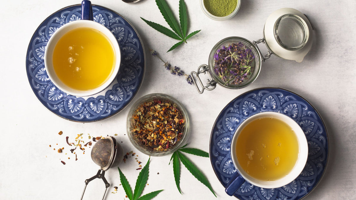INFUSION AU CBD : une nouvelle manière de consommer du thé !