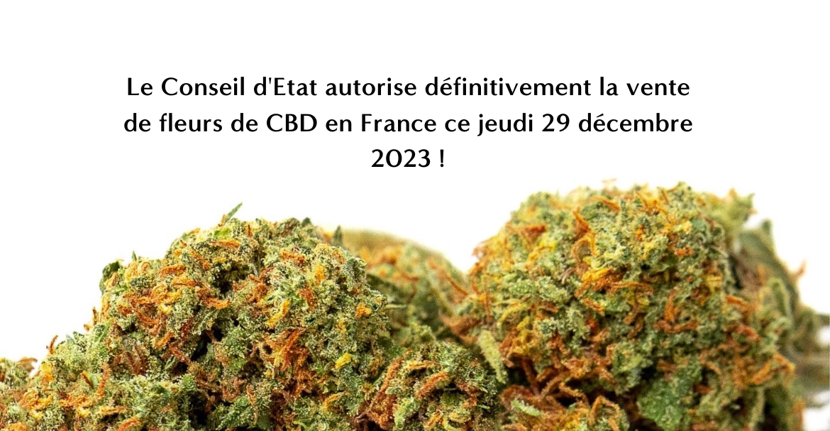 Le Conseil d'Etat autorise définitivement la vente de fleurs de CBD en France ce jeudi 29 décembre 2022 !