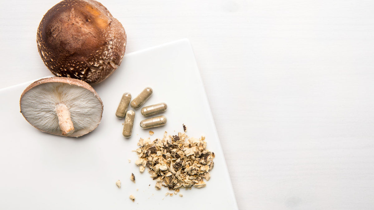 Le rôle de la cure de champignons dans le maintien de la santé