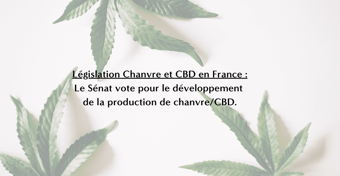 Législation Chanvre et CBD en France : Le Sénat vote pour le développement de la production de chanvre/CBD.