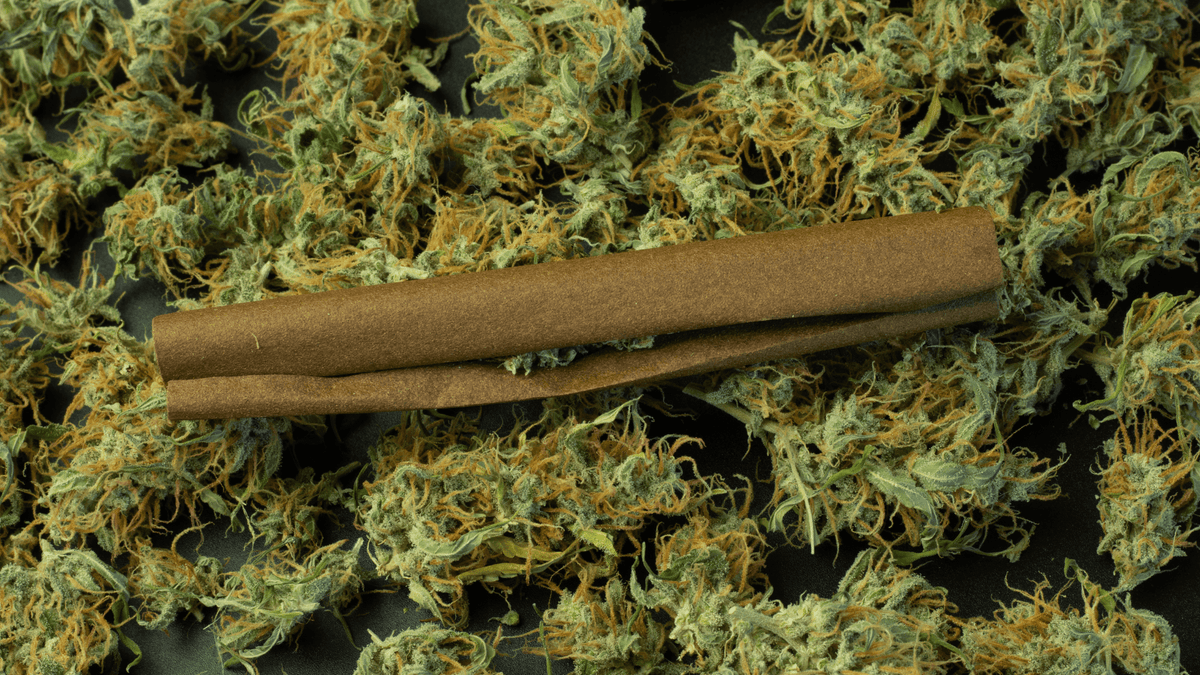 Les avantages des Blunts Chanvre pour une expérience de fumage premium