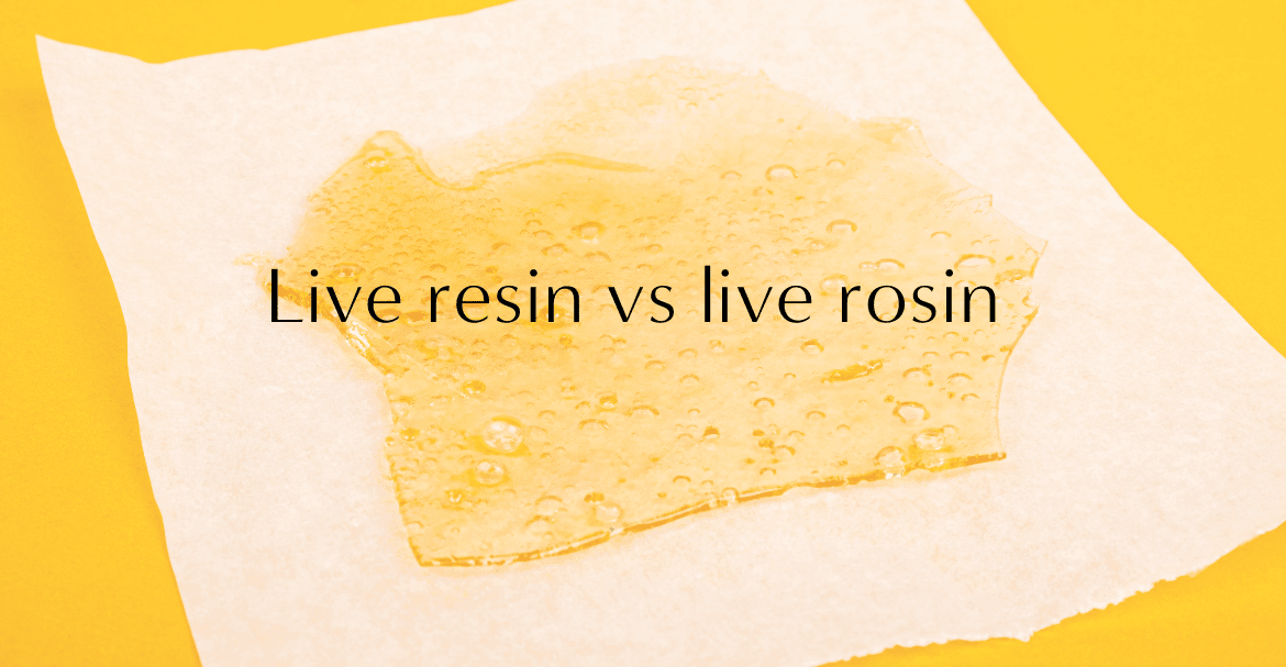 Live resin VS Live rosin CBD, qu'elle différence