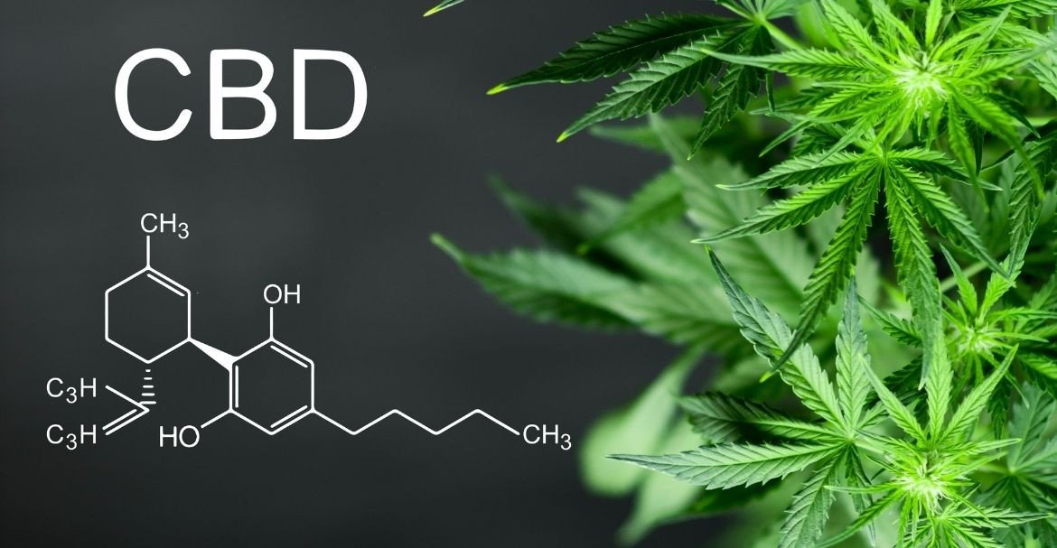 L’utilisation des huiles de CBD pour les animaux