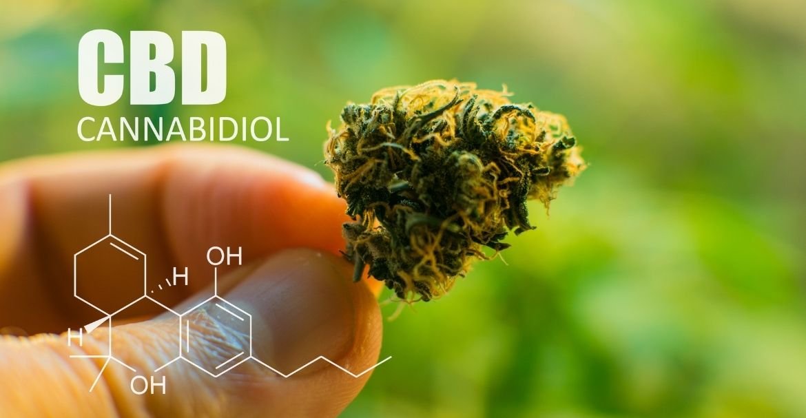 L’utilisation du CBD peut-il avoir un effet sur l’alcoolisme ?