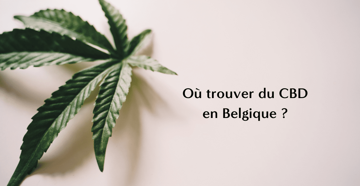 Où trouver du CBD en Belgique ?