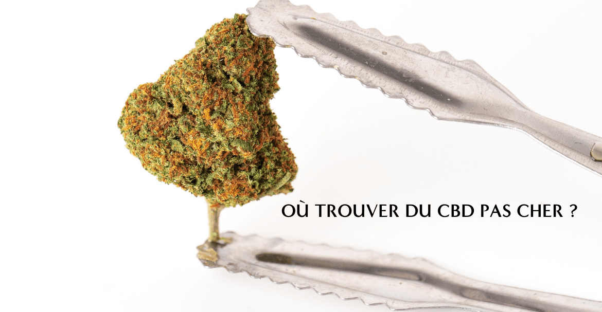 ¿Dónde encontrar CBD barato y de buena calidad en Francia?