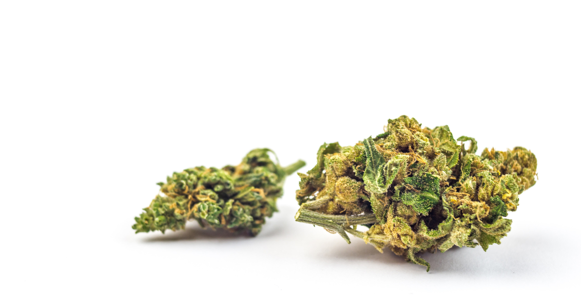 THCH y THCJD, las nuevas moléculas del cannabis que están surgiendo