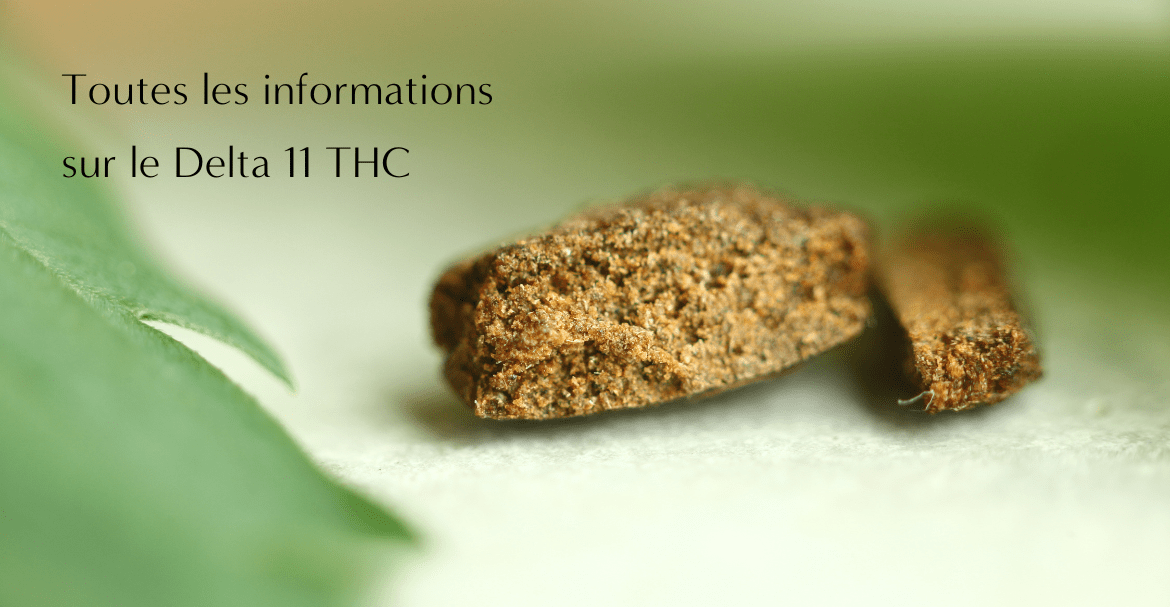 Toutes les informations sur le Delta 11 THC
