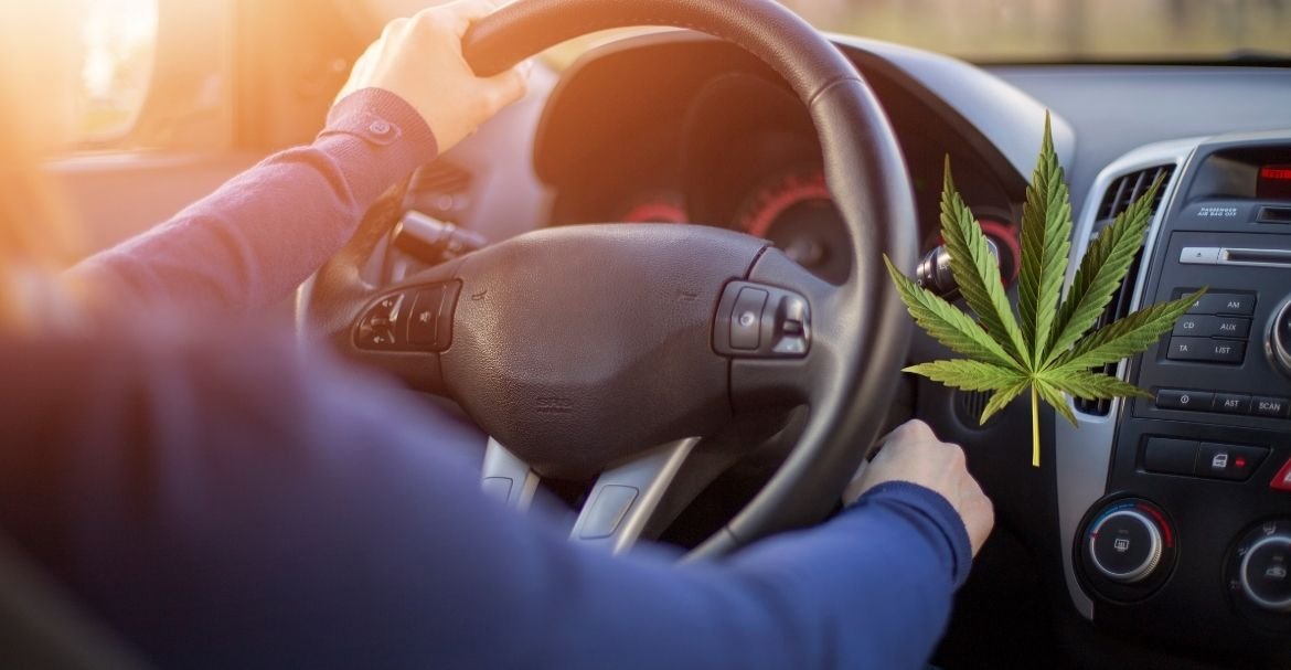 Tu peux enfin passer ton diplôme pour le cannabis médical!