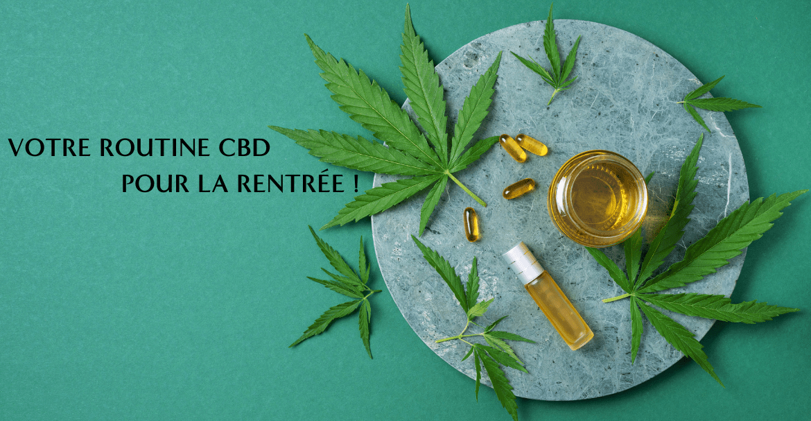 ¡Tu rutina de CBD para la vuelta a la rutina!