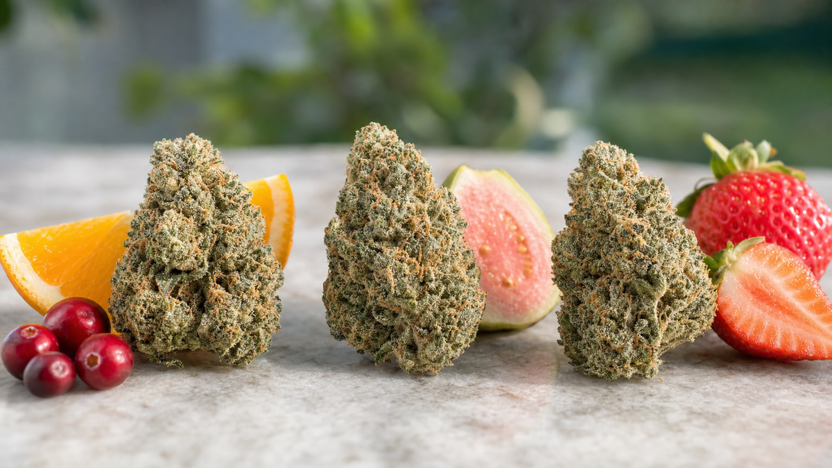 Tres flores de CBD hidropónicas junto a una naranja, una guayaba y fresas que evocan sus aromas