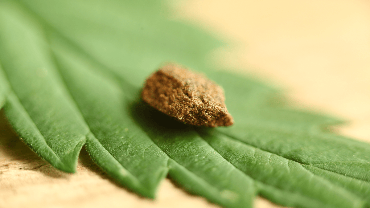 Zoom sur les résines CBD : Olive, Libanais, Afghan… quelles textures choisir ?