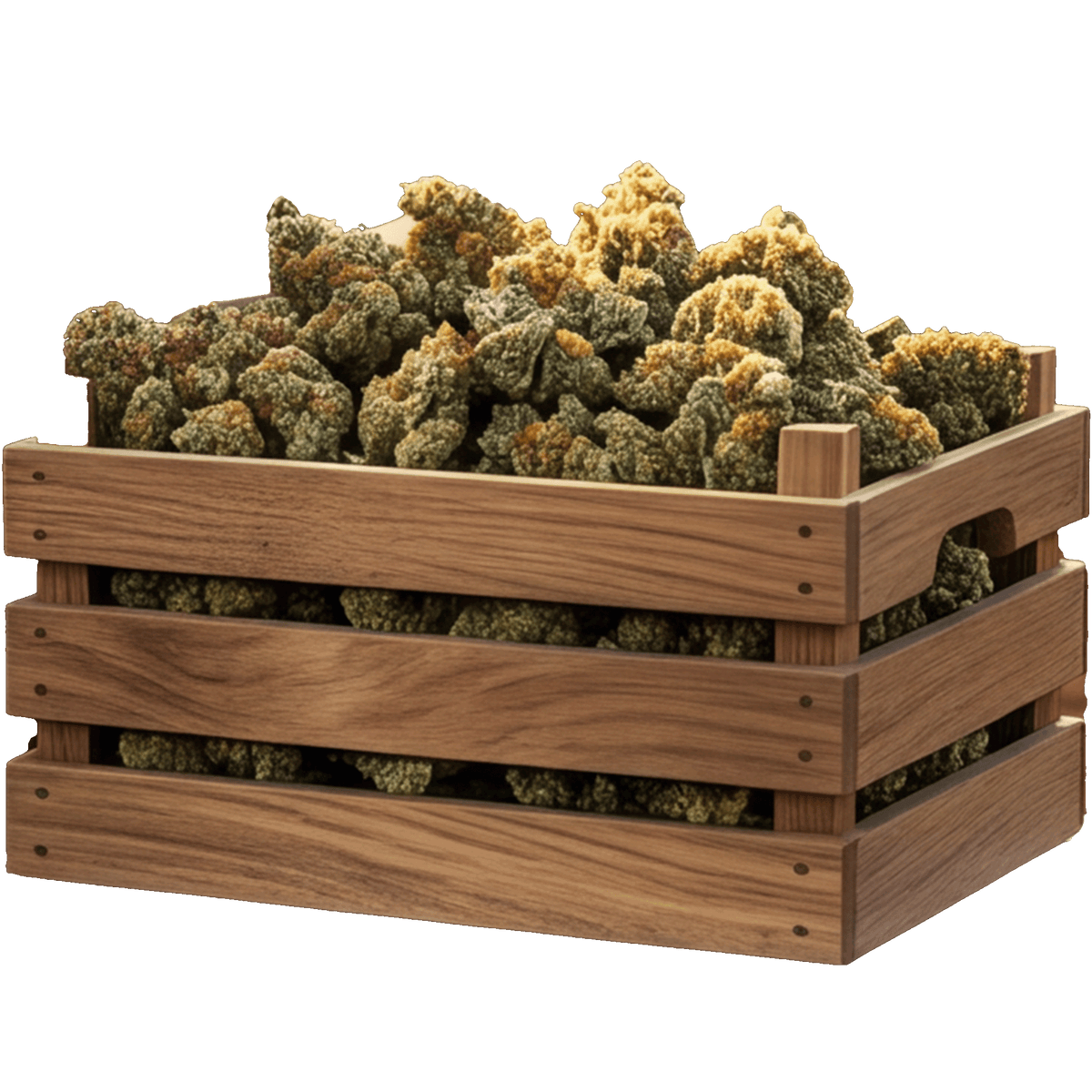 100g de flores de CBD gratis