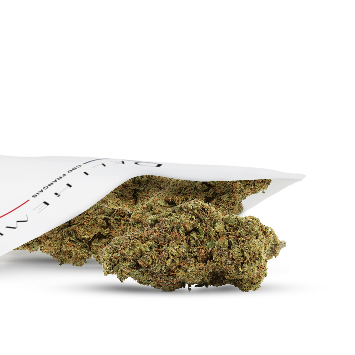 CHICLE CBD - HIDROPONÍA