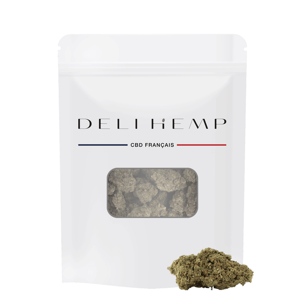 CHICLE CBD - HIDROPONÍA