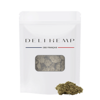 CHICLE CBD - HIDROPONÍA