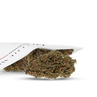 SCARY DOOBIE KUSH - INDOOR
