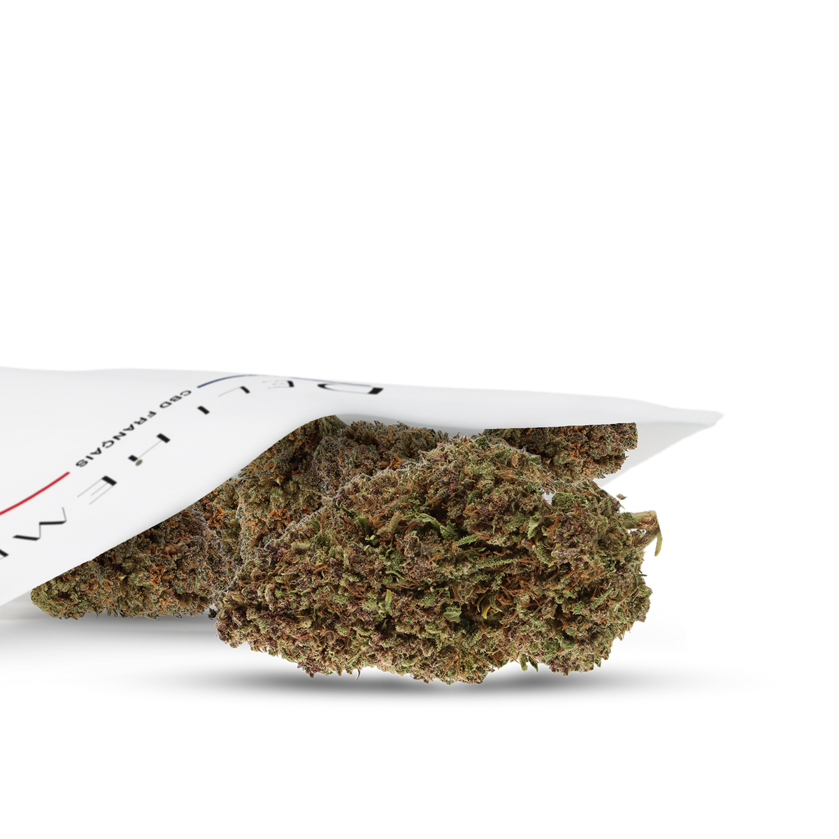 SCARY DOOBIE KUSH - INDOOR