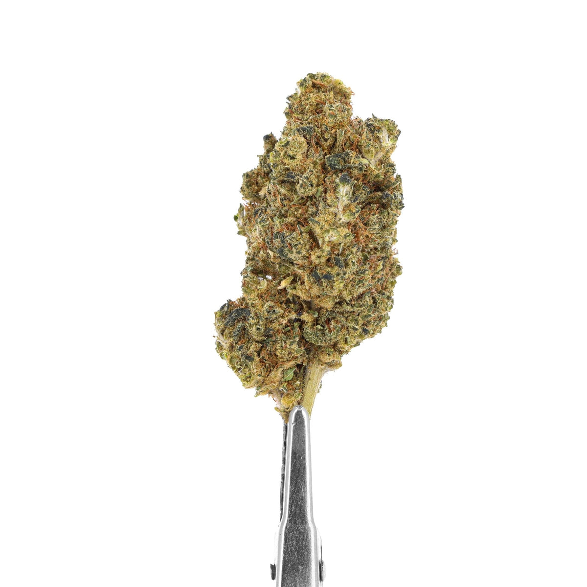 CBD gelato