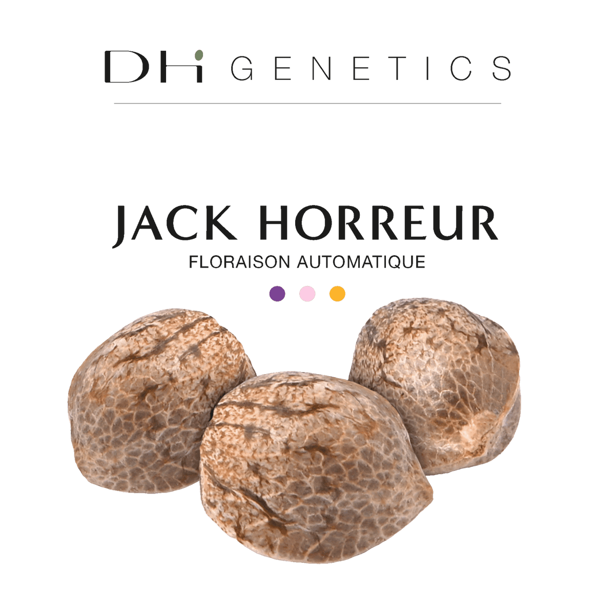 GRAINES CBD - Jack Horreur Automatique