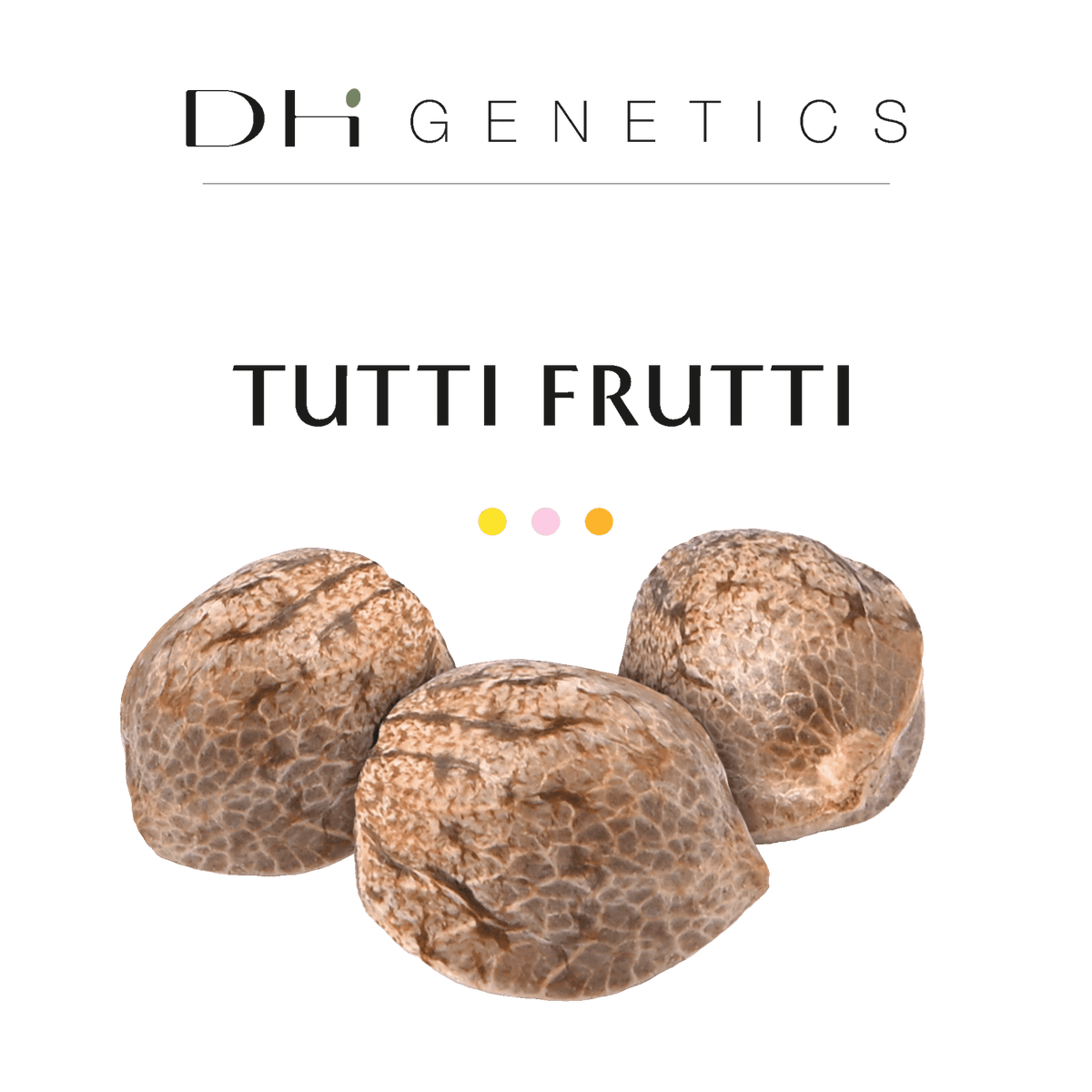 GRAINES CBD - Tutti Frutti